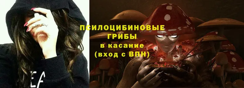 Псилоцибиновые грибы Psilocybe  Шлиссельбург 